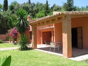 Terrace area and gardens