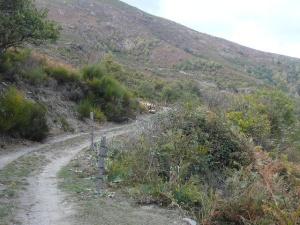 one of the tracks on the farm