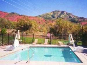 Pool with great views