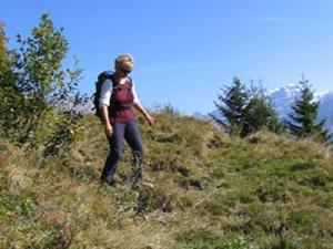 Hiking in the Mountains