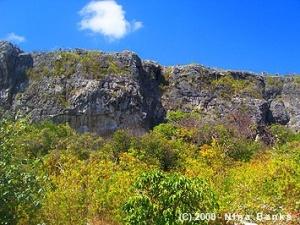 Beautiful Bluff condos view