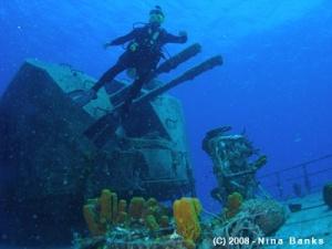 The diving here is great!