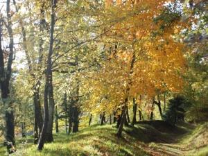 Fall at Cinciallegre