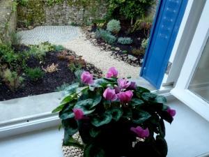 Private walled Garden