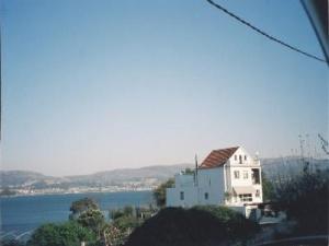 The house