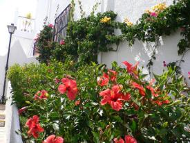 Gardens in Chumbera Hills