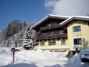 Leogang holiday apartment rental