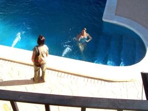 7 x 8m solar heated pool