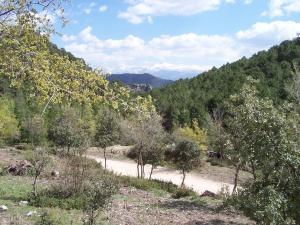 Sierra Huetor natural park