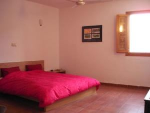 King size bed, king size room