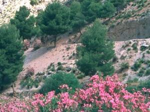 E4-GR7 path just above village