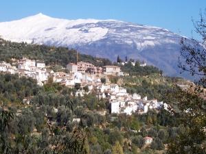 November snow above, at 3000m