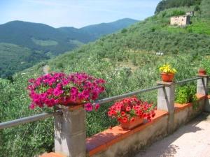 Nice views from terrace