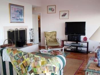 Living Area, Wood Fireplance