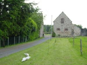 Driveway to farmhouse & Gite