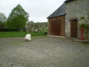 View of Courtyard from Gite 