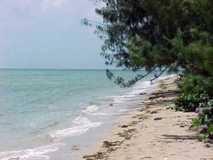 Beach across road to condos