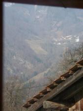 Views from balcony