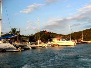 Dive boats leave marina daily