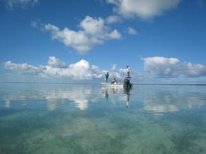 Bonefish the flats of Provo