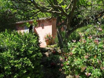 View of the Dependence