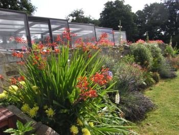 Flower bed by swimming pool