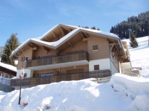 Chatel ski holiday apartment