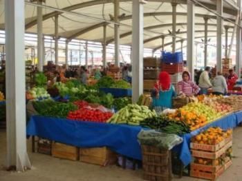 Fresh exotic fruit & veg