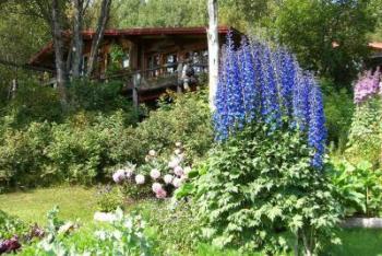 cabin view from the garden