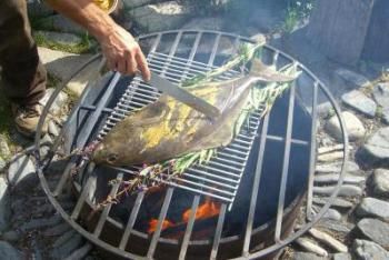 grilling small halibut