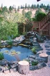 Koi pond beside the house