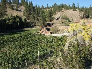 Riddle Rd Retreat vineyards