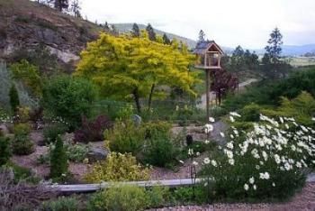 View from breakfast deck