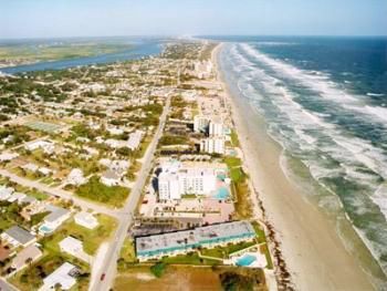 Sand Dollar lower left corner
