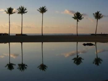 Evening by the beach
