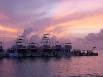 Sunset and Boats