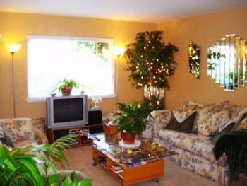 Comfortable living room