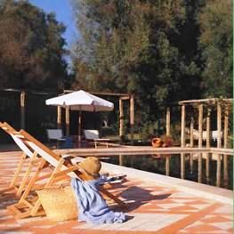 Terrace and pool