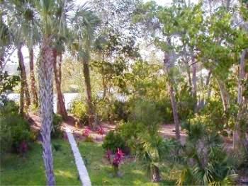 Our Sanibel Island backyard