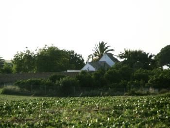 Rural holiday cortijo Arcos de la Frontera