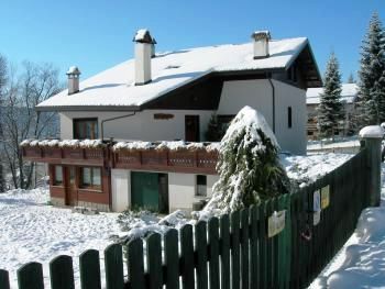 The house in winter