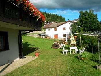 A piece of the garden