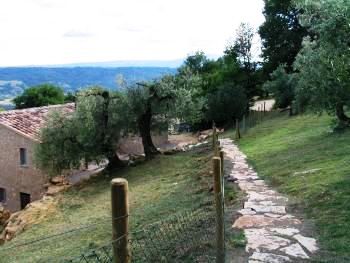 Path from pool to house