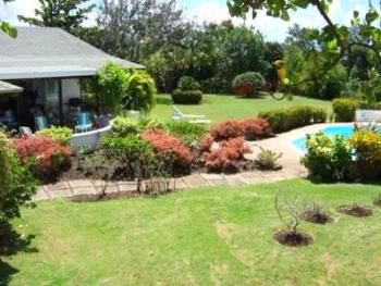 Patio Garden