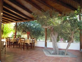 b&b villagenovese veranda (4 )