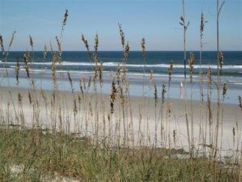 Our Oceanfront Beach