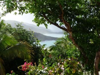 British Virgin Islands villa on Tortola