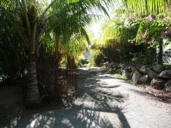 Entryway to Coconut Tree Villa