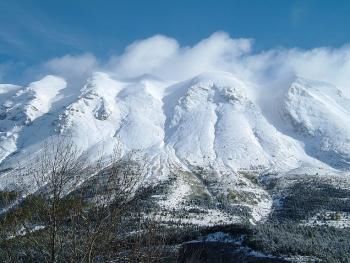 Vew from the lounge window