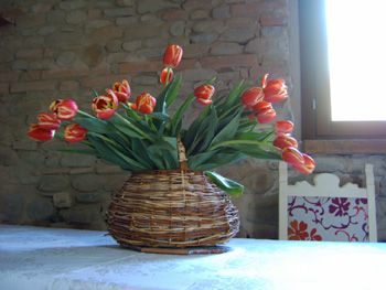 Every detail for your stay